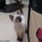 Boo Nugget(217) / Winter