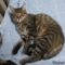 JASPER/Snow (172)