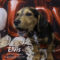 Elvis (870)