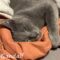 Gandalf(888)