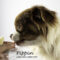 Pippin(580)