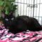 Mystic(819)