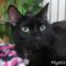 Mystic(819)