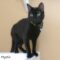 Mystic(819)