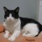 Pepper(889)