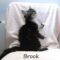Brook (850)