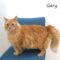 Gary