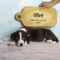 Olive(216)
