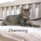 Charming (579)